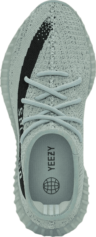 adidas Yeezy Boost 350 V2 Salt