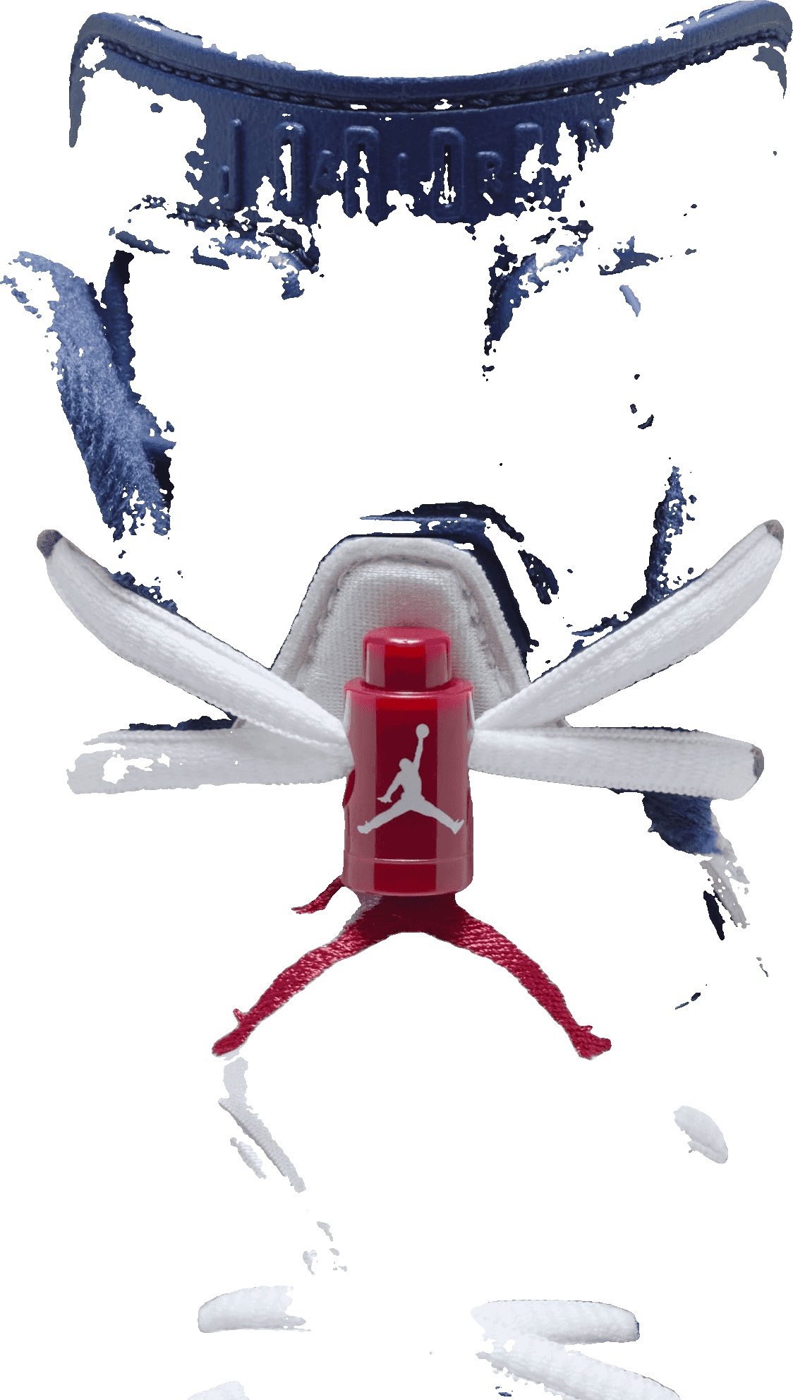 Air Jordan 6 Olympic (2024)