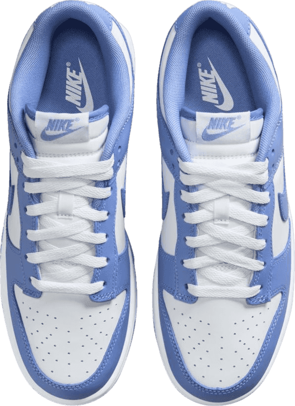 Nike Dunk Low Polar Blue