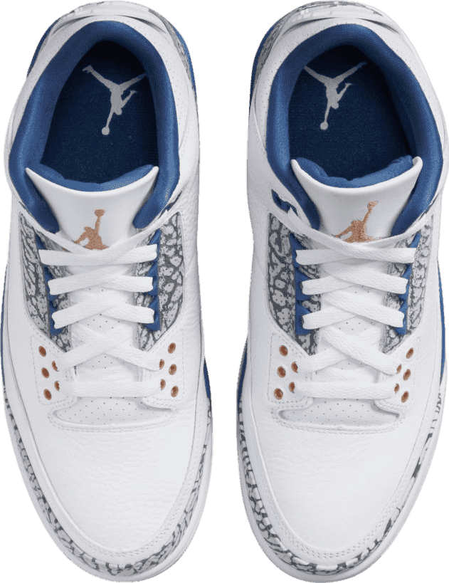 Air Jordan 3 Wizards