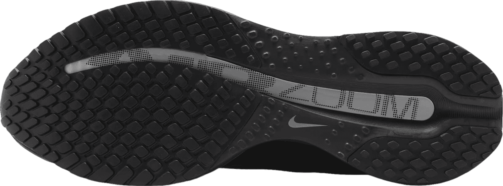 Nike Pegasus Premium Black/Metallic Silver