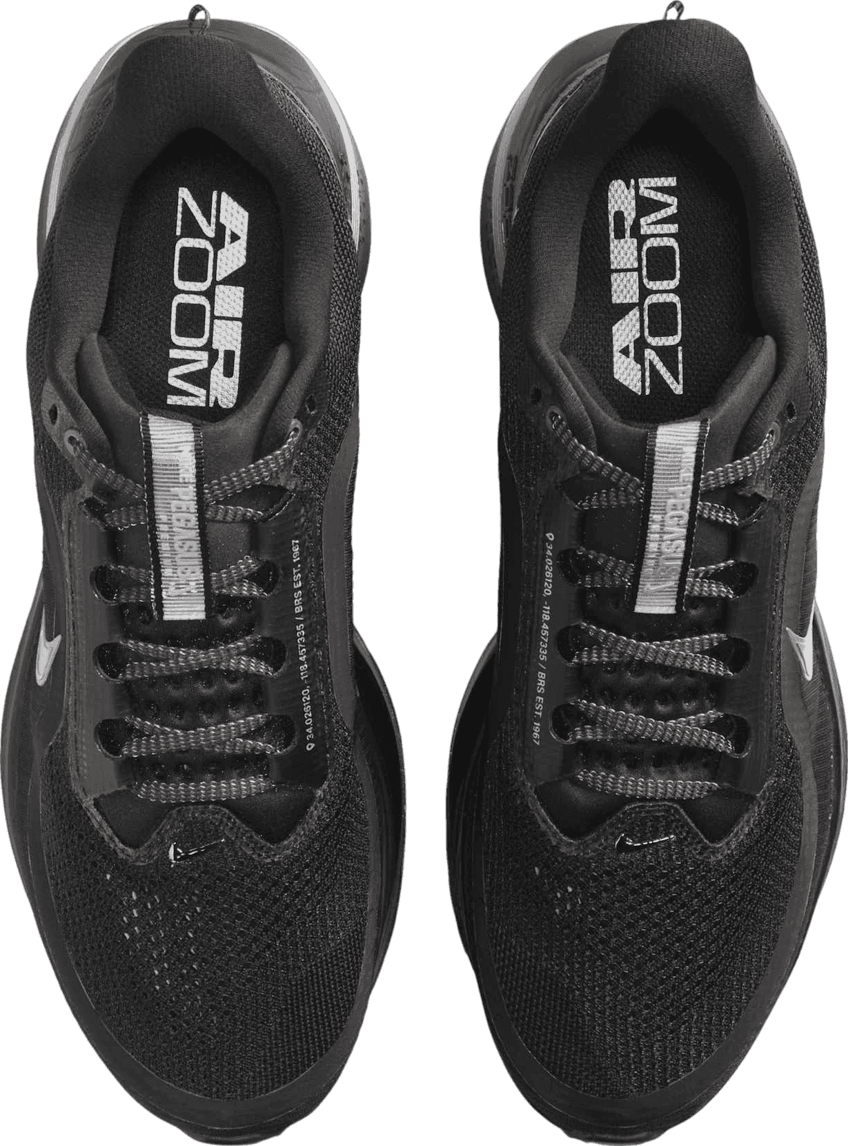 Nike Pegasus Premium Black/Metallic Silver