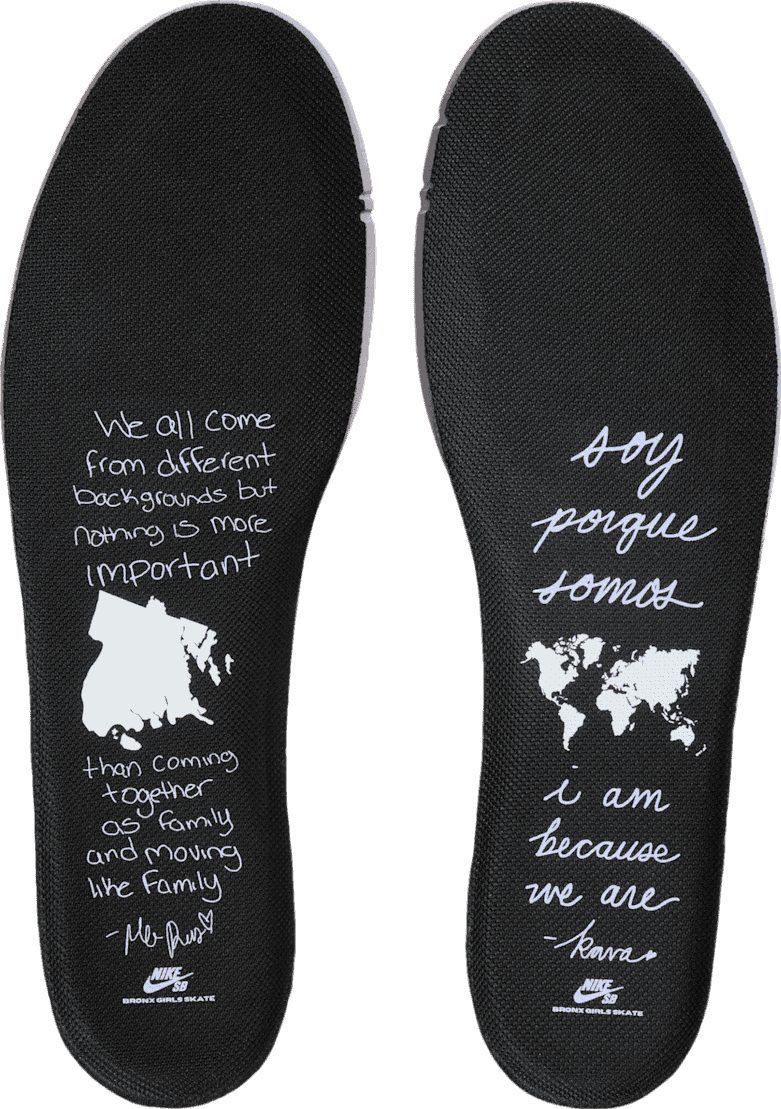 Bronx Girls Skate x Nike SB Dunk Low Black/Red