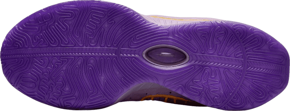 Nike LeBron 21 Purple Rain