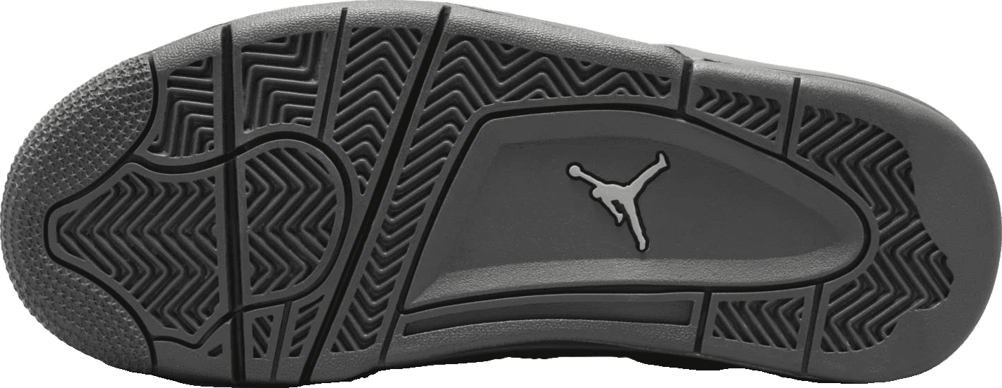 Air Jordan 4 SE Wet Cement (GS)