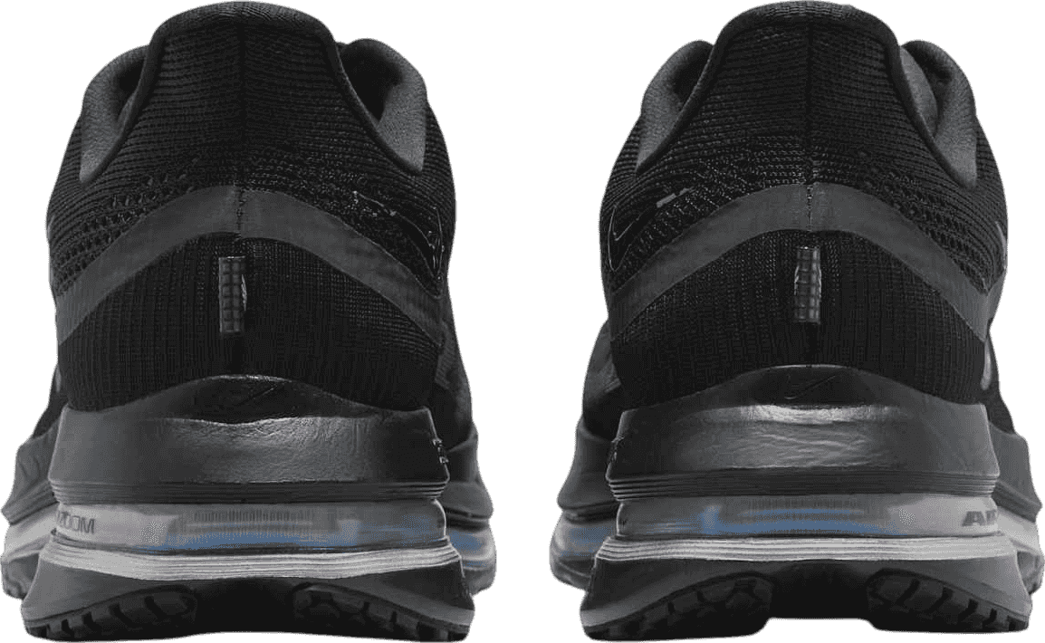 Nike Pegasus Premium Black/Metallic Silver