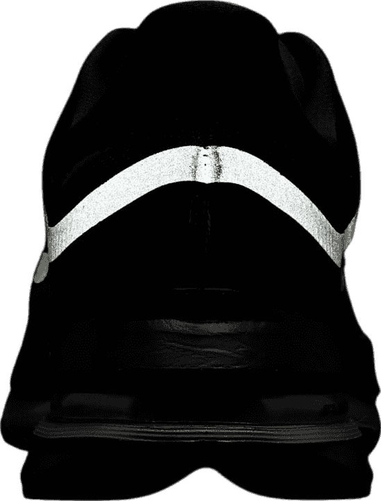 Nike Pegasus Premium Black/Metallic Silver