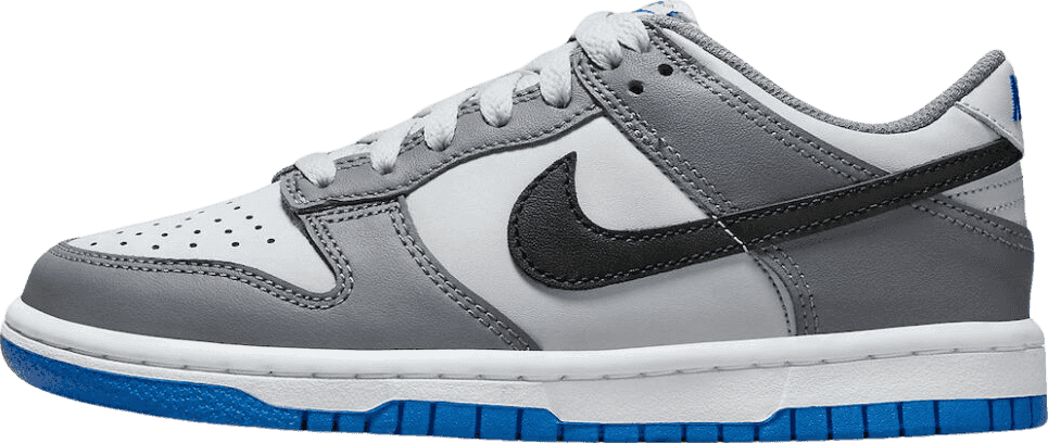 Nike Dunk Low Cool Grey (GS)