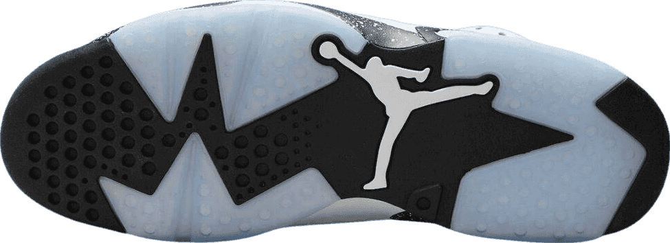Air Jordan 6 Reverse Oreo