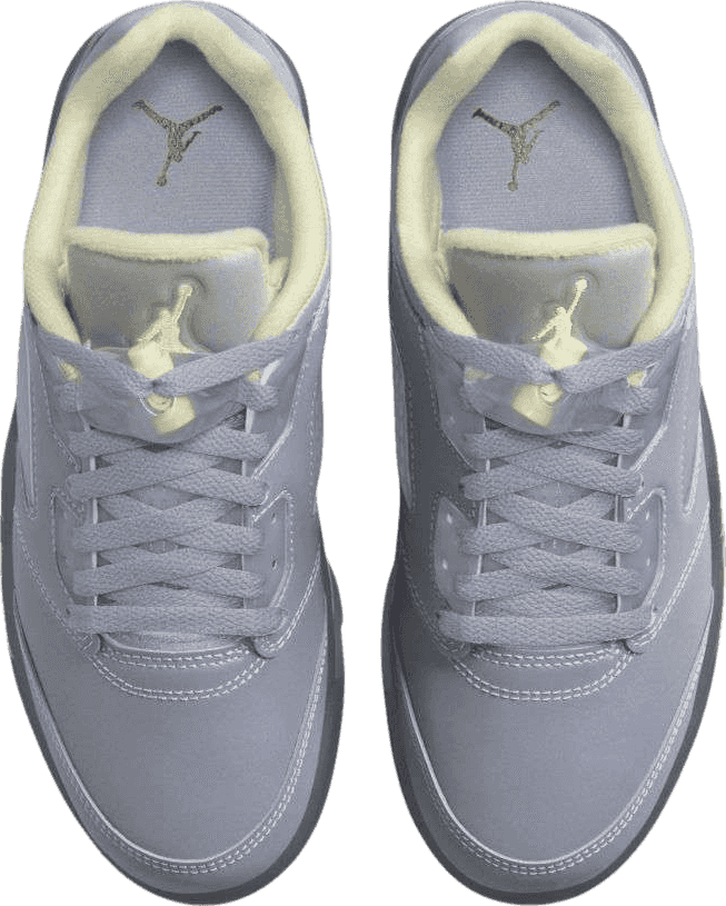 Air Jordan 5 Low Indigo Haze (W)