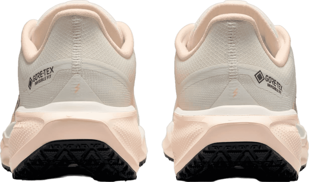 Nike Air Zoom Pegasus 41 GORE-TEX 100 Sail (W)