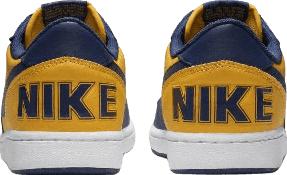 Nike Terminator Low Michigan