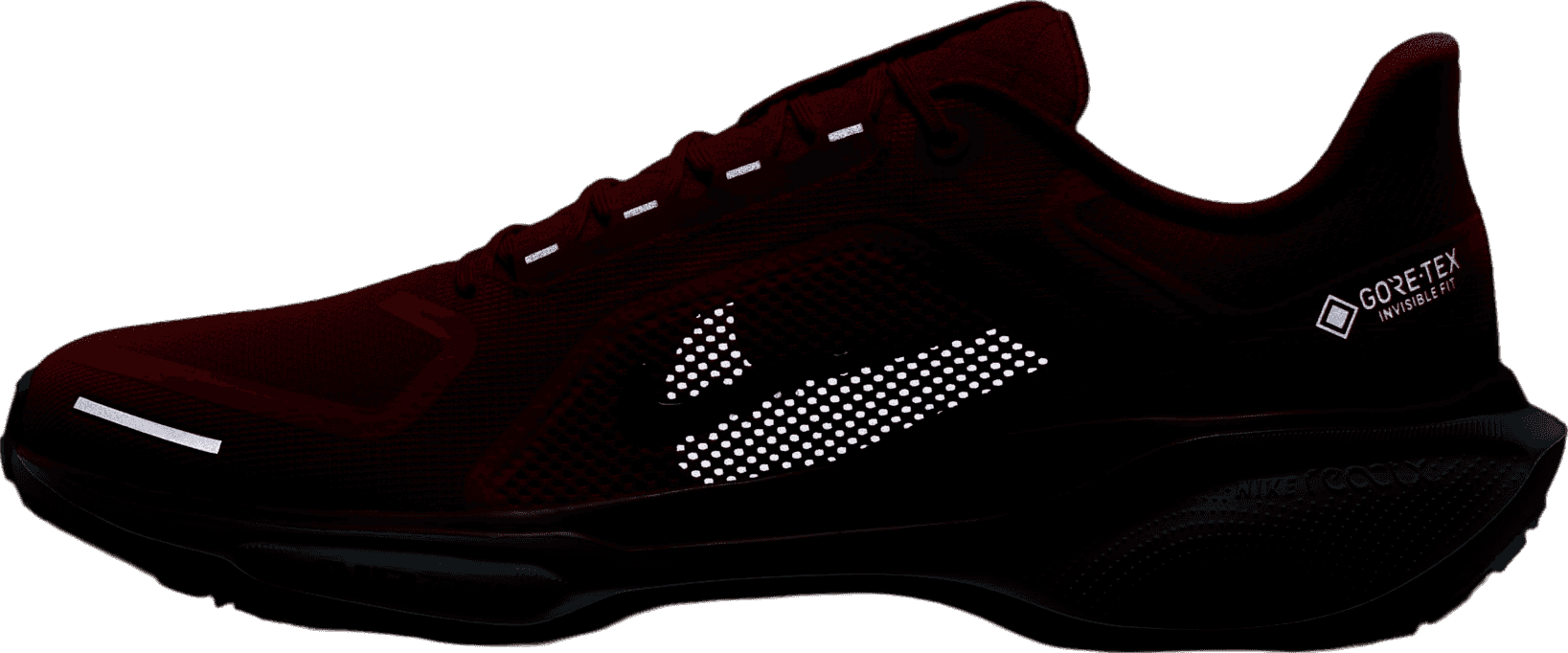 Nike Pegasus 41 GORE-TEX Track Red