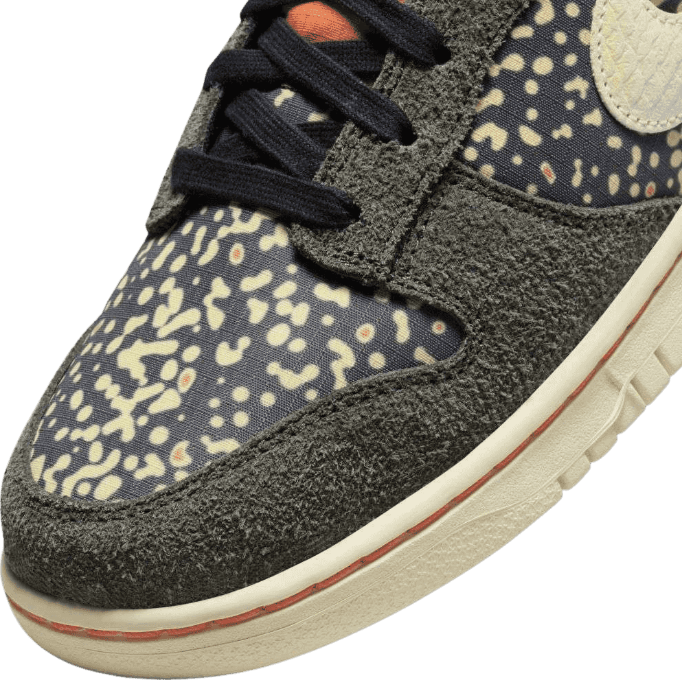Nike Dunk Low Rainbow Trout