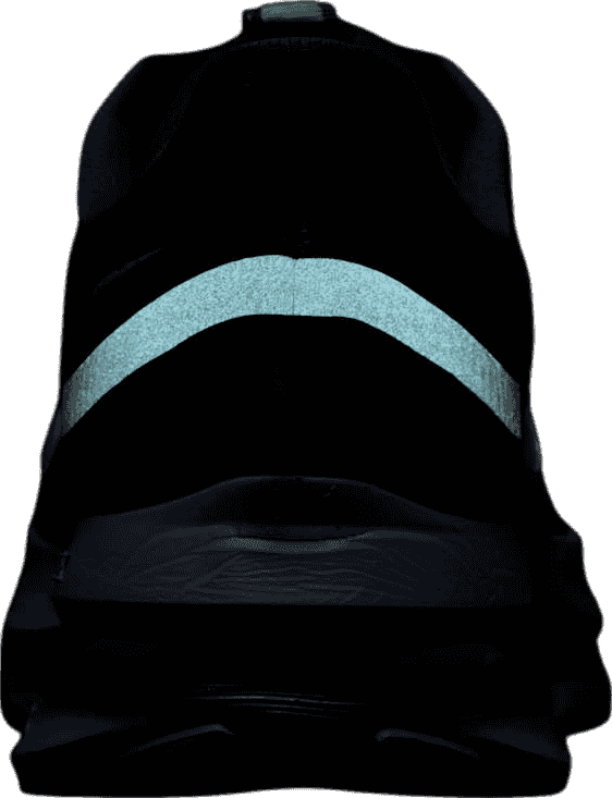 Nike Pegasus Premium Anthracite