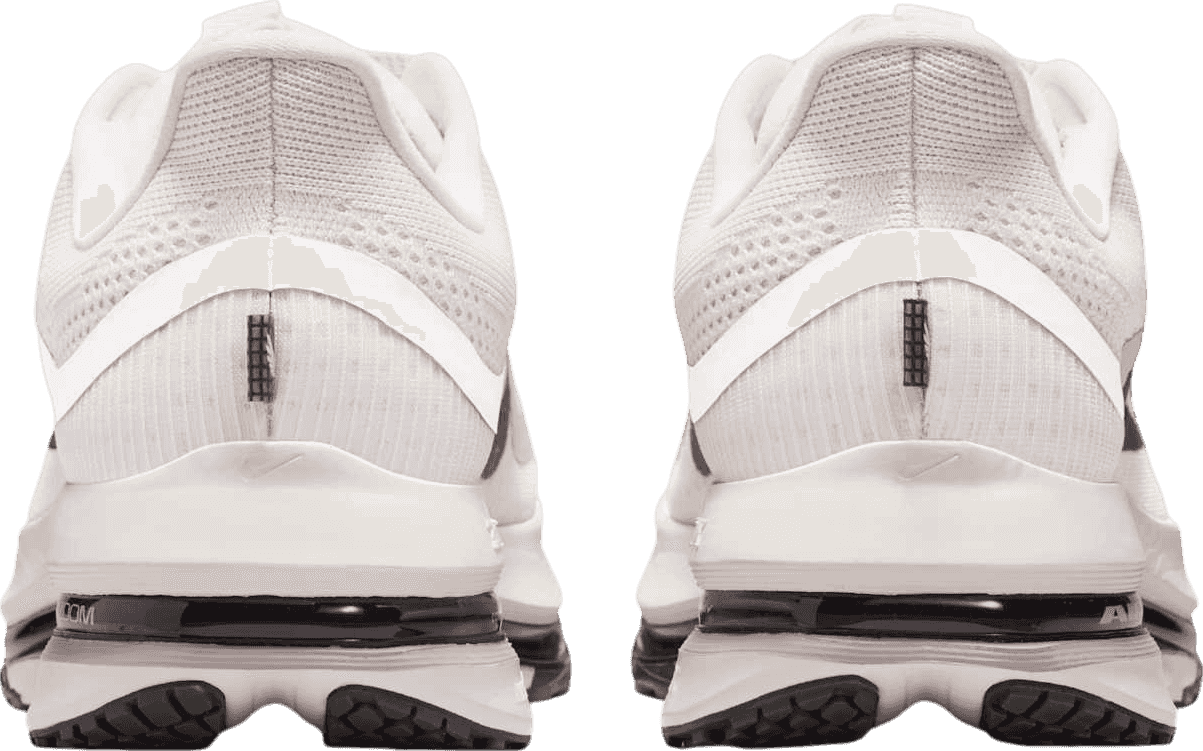Nike Pegasus Premium Run Platinum Tint
