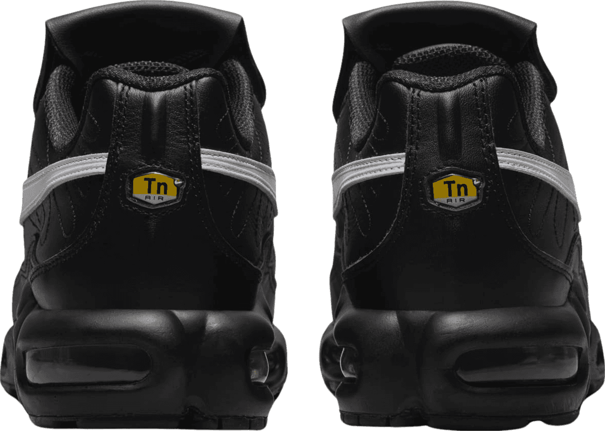 Nike Air Max Plus Tiempo (W)