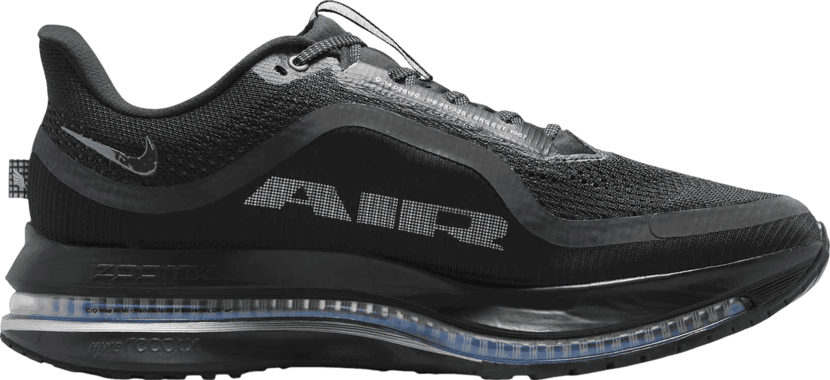 Nike Pegasus Premium Black/Metallic Silver