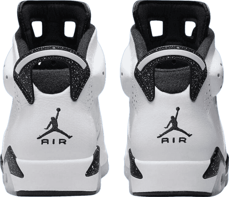 Air Jordan 6 Reverse Oreo