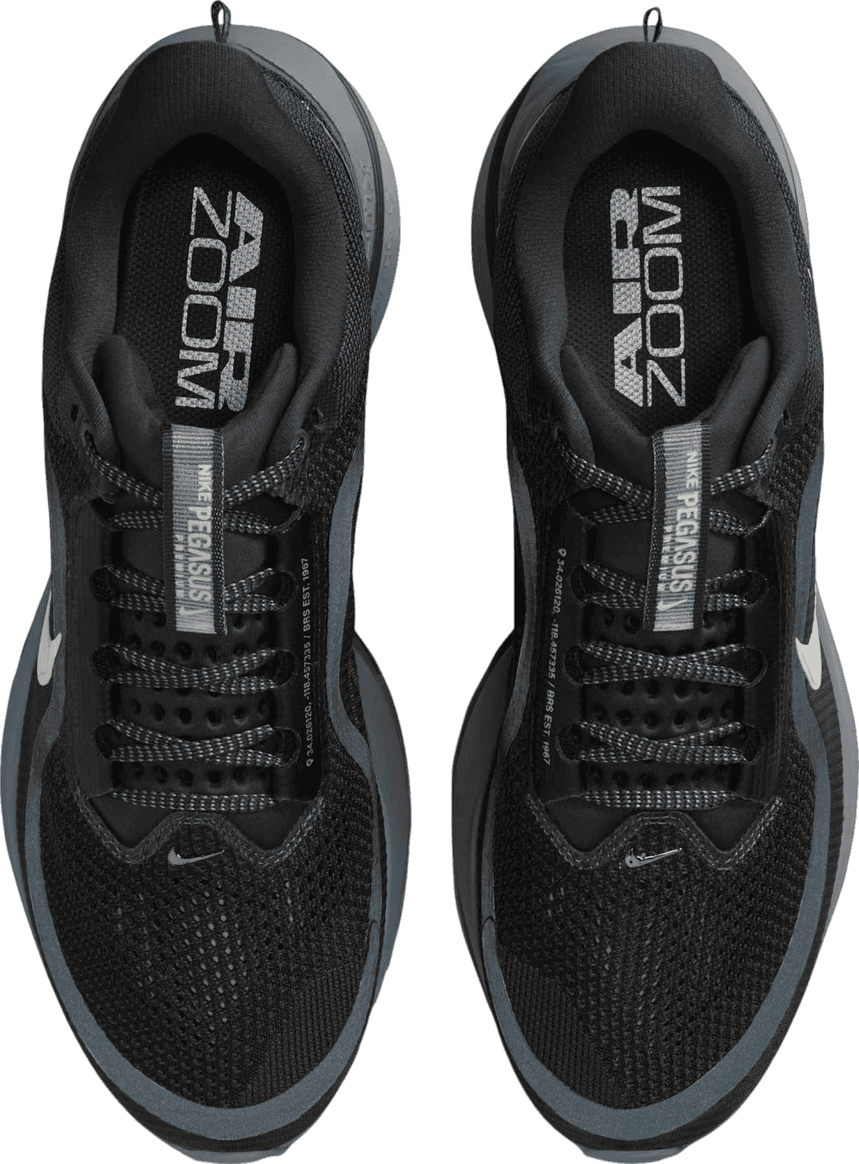 Nike Pegasus Premium Anthracite