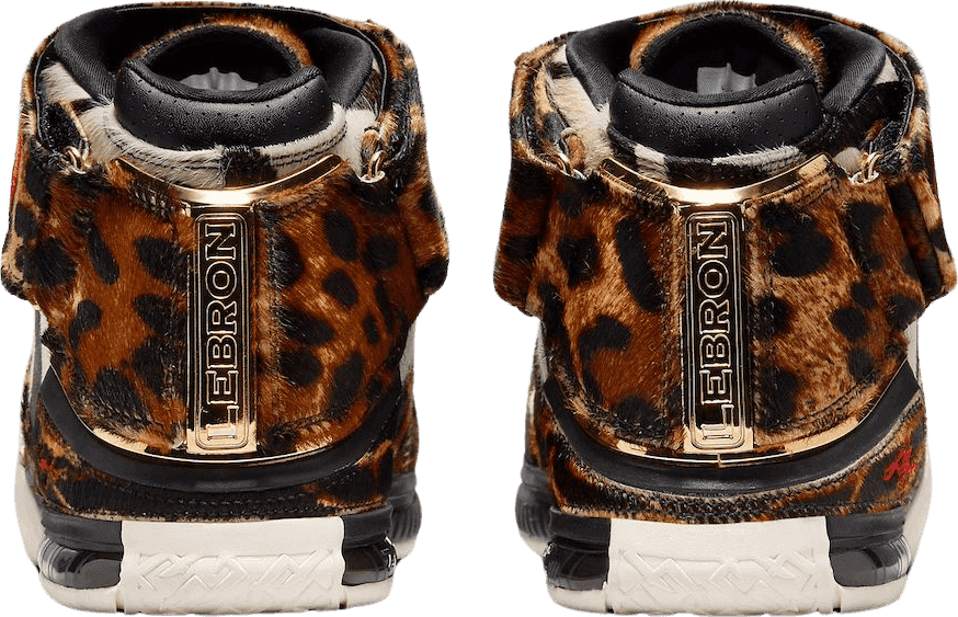 Nike LeBron 2 Beast