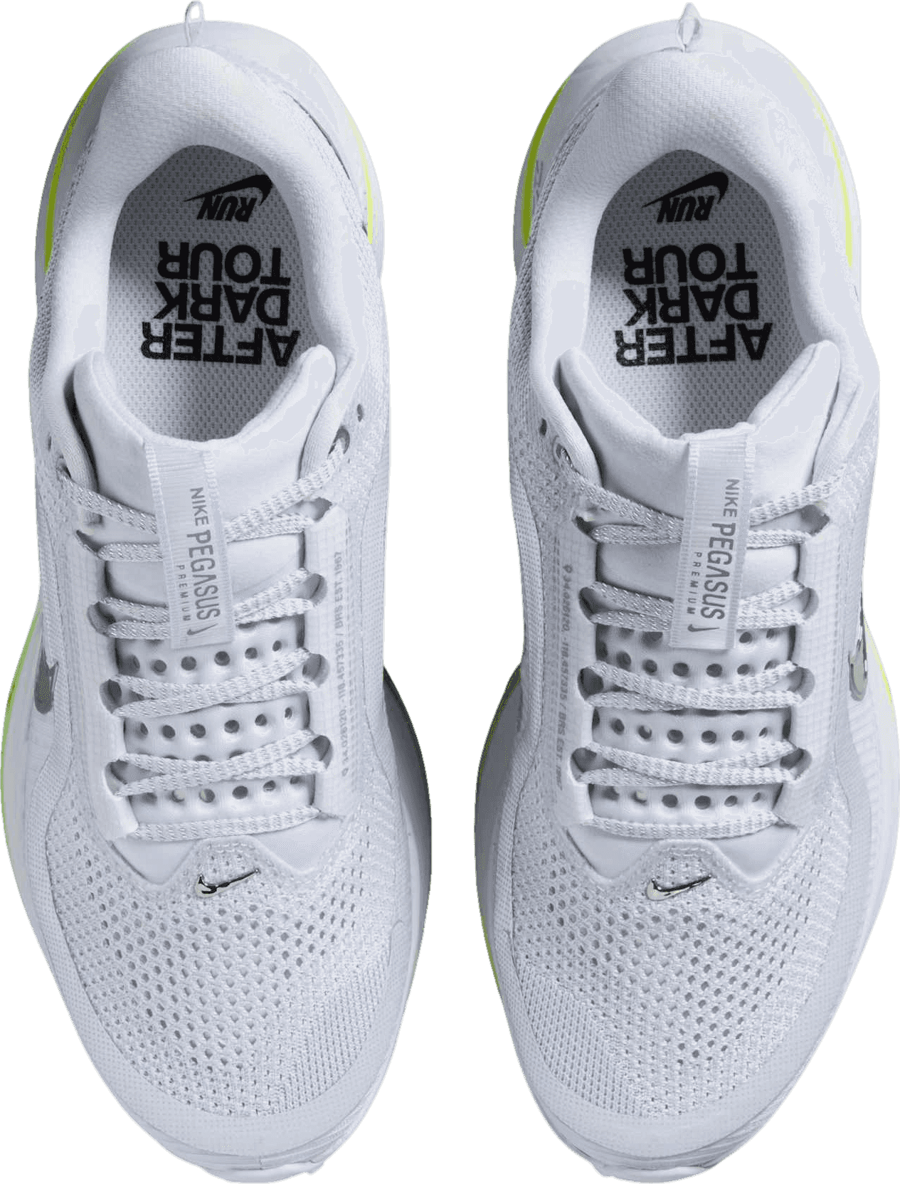 Nike Pegasus Premium Football Grey (W)