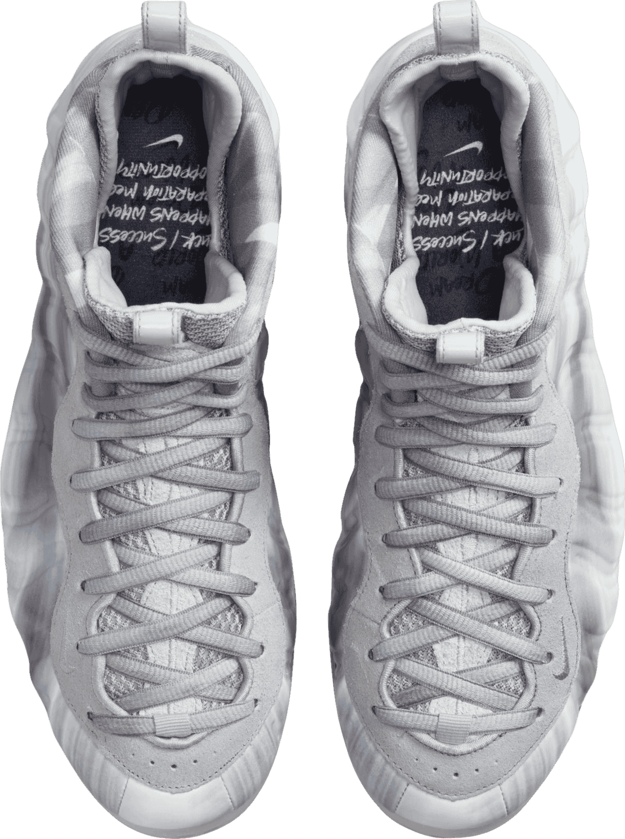Nike Air Foamposite One Dream A World Grey