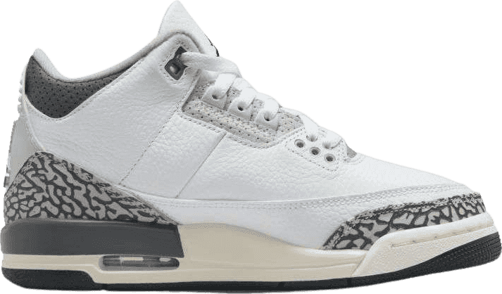 Air Jordan 3 Retro Hide N' Sneak (GS)