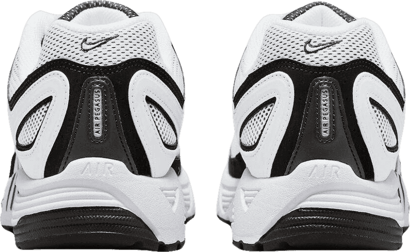 Nike Air Pegasus 2K5 White/Black