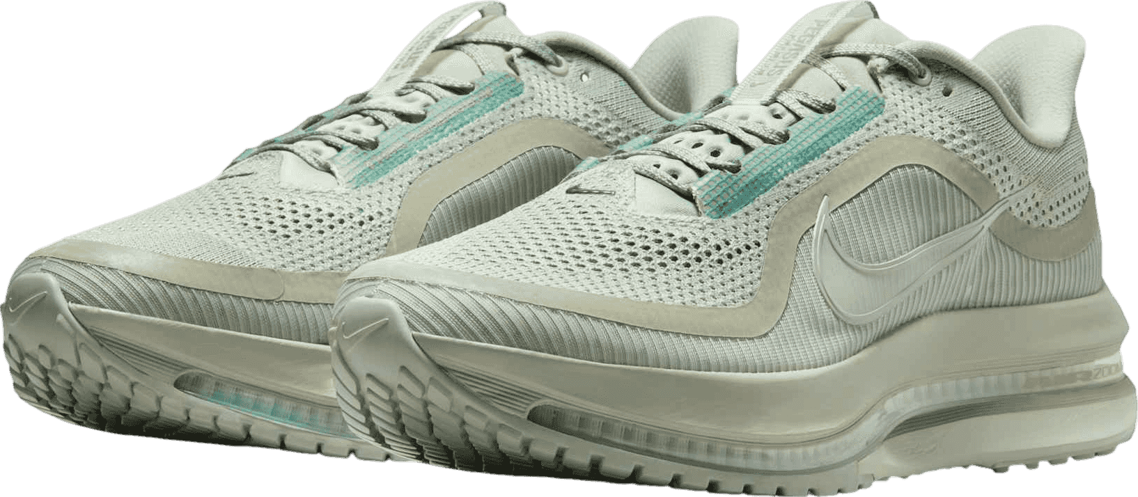 Nike Pegasus Premium Jade Horizon
