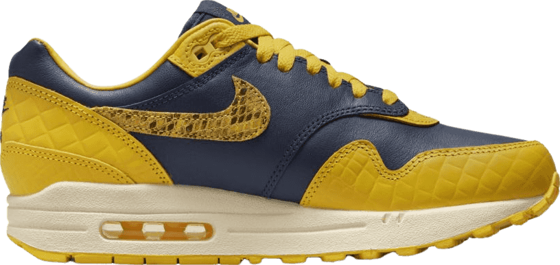 Nike Air Max 1 CO.JP Michigan (W)