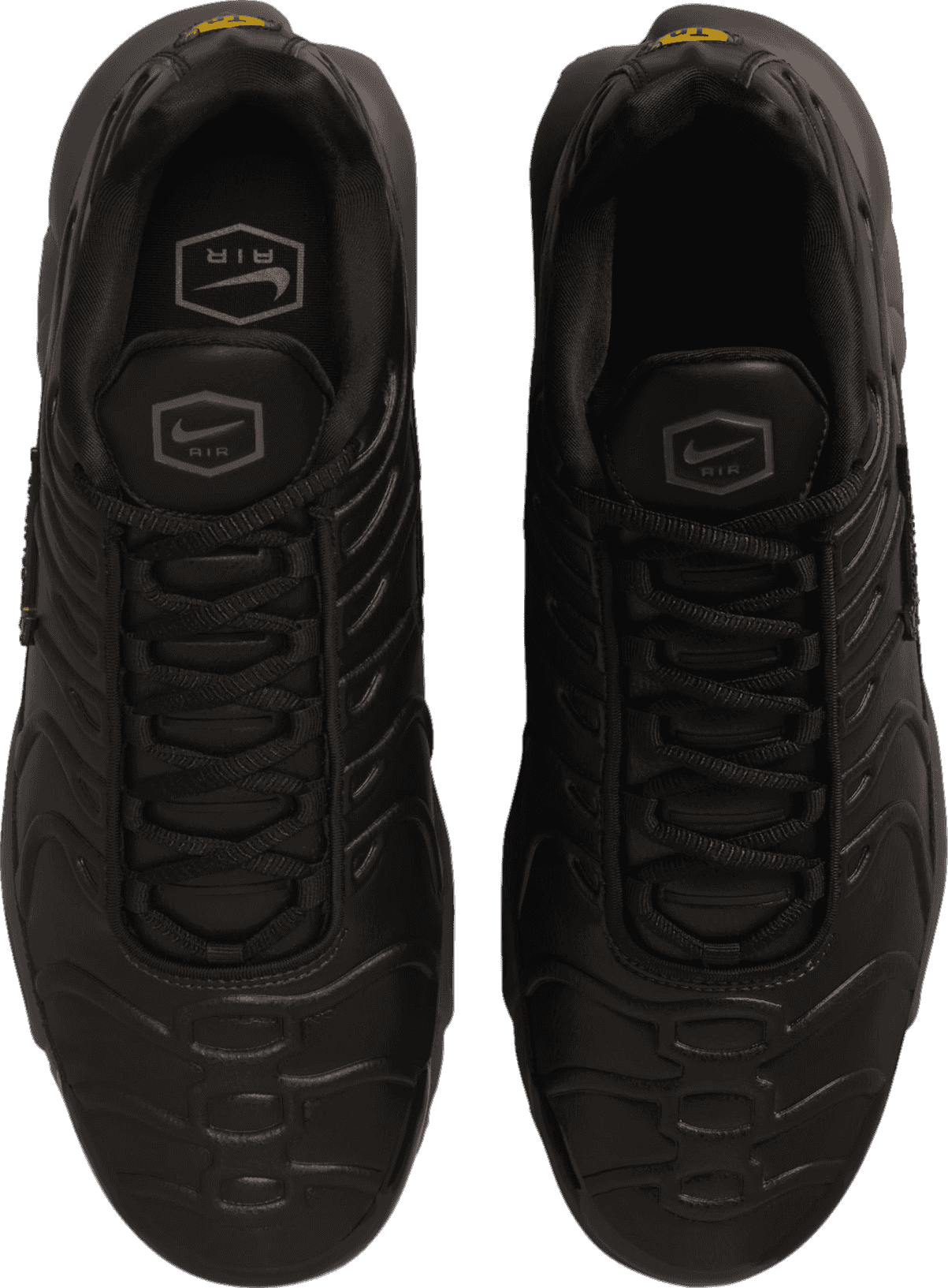 Nike Air Max Plus Black Tea/Petra Brown