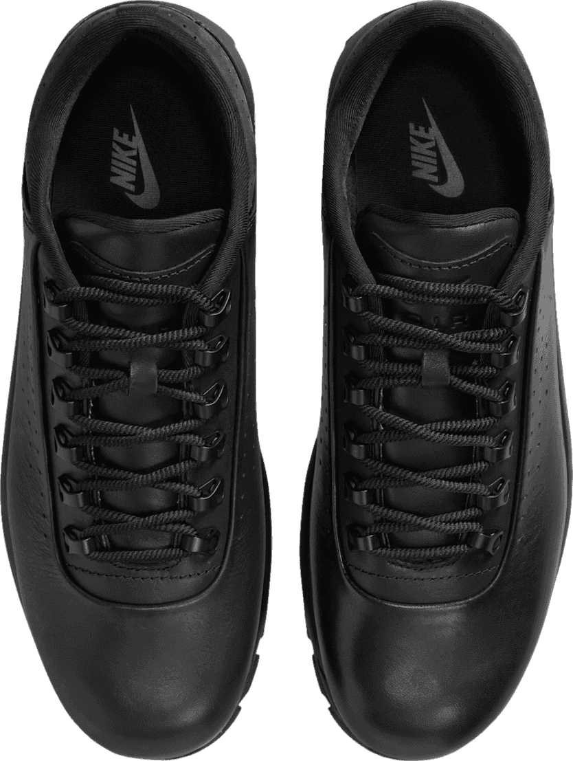 Nike Air Max Goadome Low Black