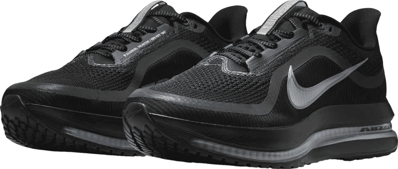 Nike Pegasus Premium Black/Metallic Silver