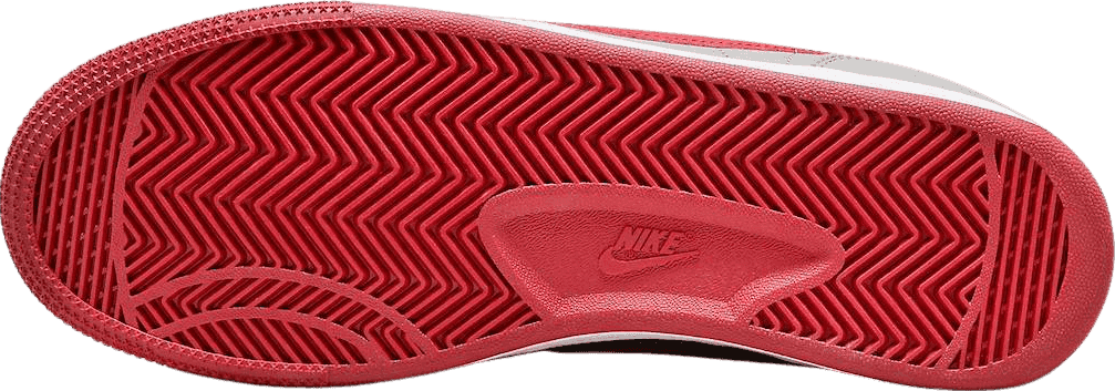 Nike Terminator Low UNLV