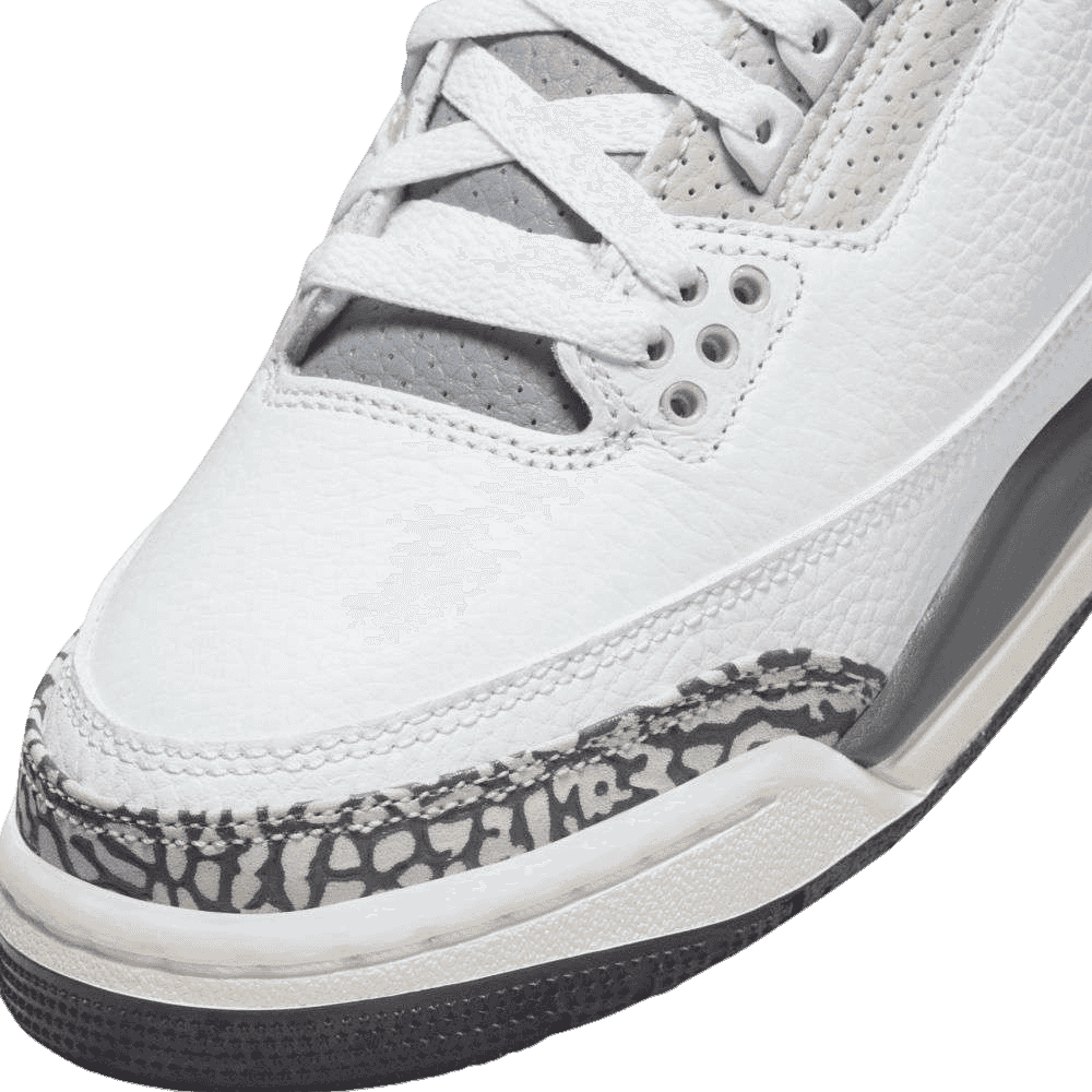 Air Jordan 3 Retro Hide N' Sneak (GS)