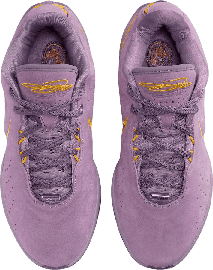 Nike LeBron 21 Purple Rain