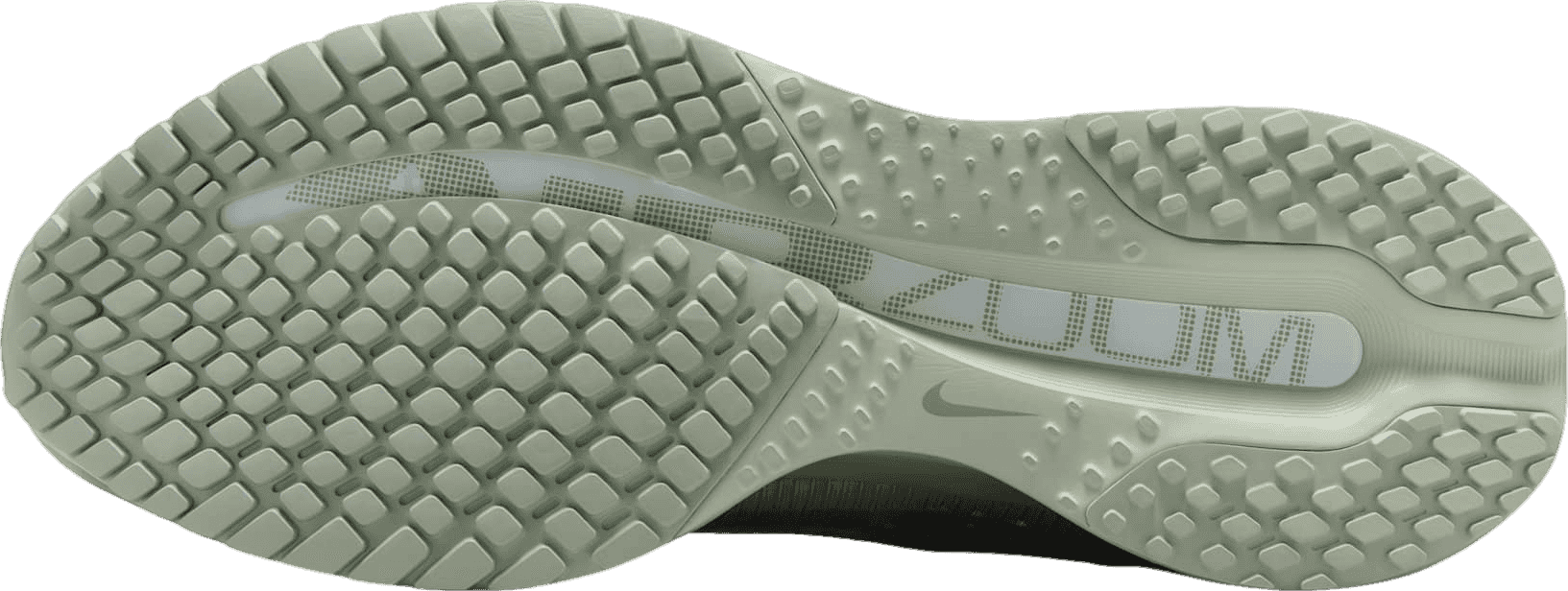 Nike Pegasus Premium Jade Horizon