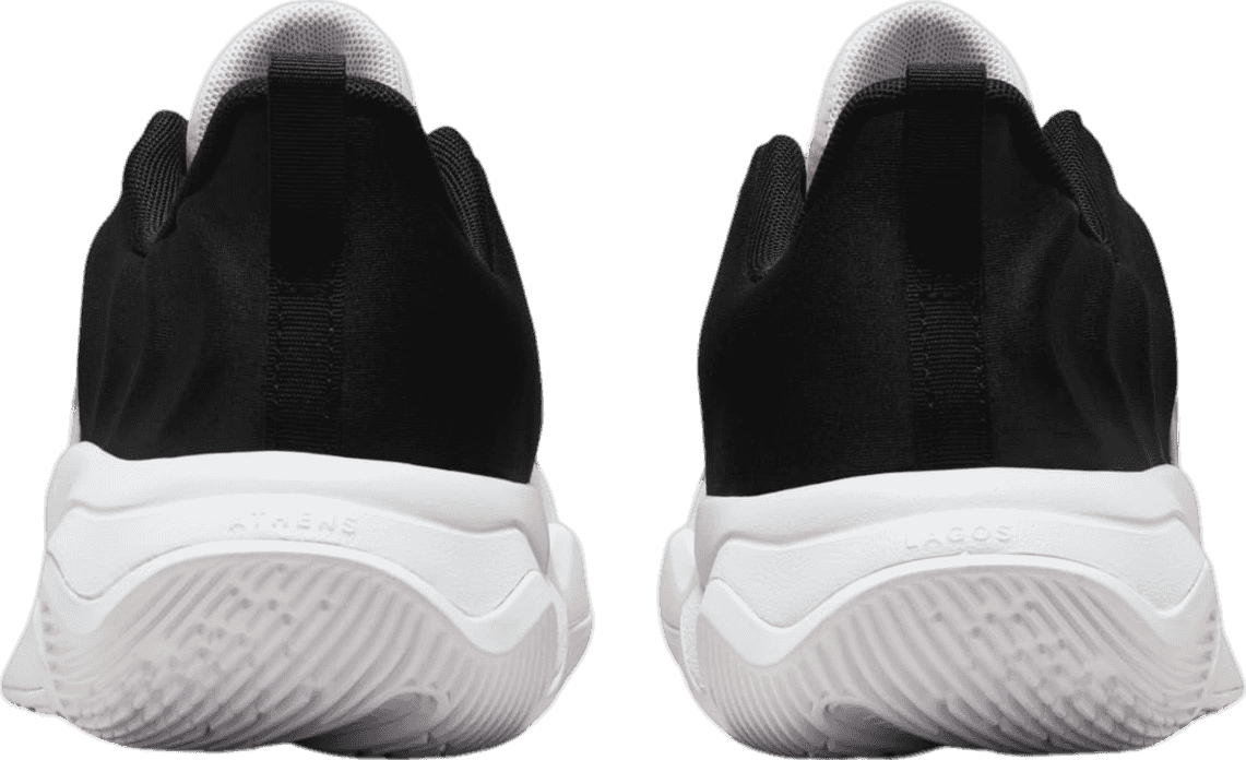 Nike Giannis Mortality 4 White/Black (GS)
