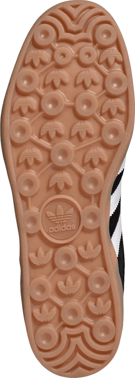 Gazelle Indoor