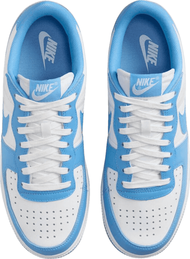 Nike Terminator Low University Blue
