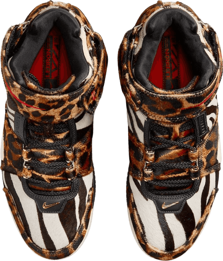 Nike LeBron 2 Beast