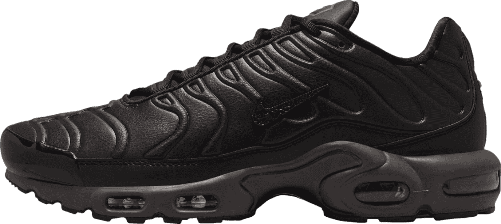 Nike Air Max Plus Black Tea/Petra Brown