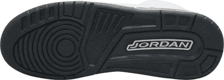 Air Jordan 3 Retro Hide N' Sneak (GS)