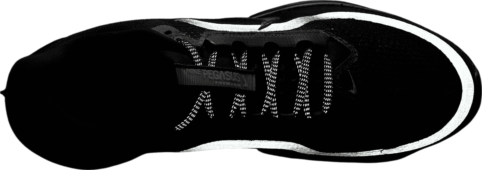 Nike Pegasus Premium Black/Metallic Silver