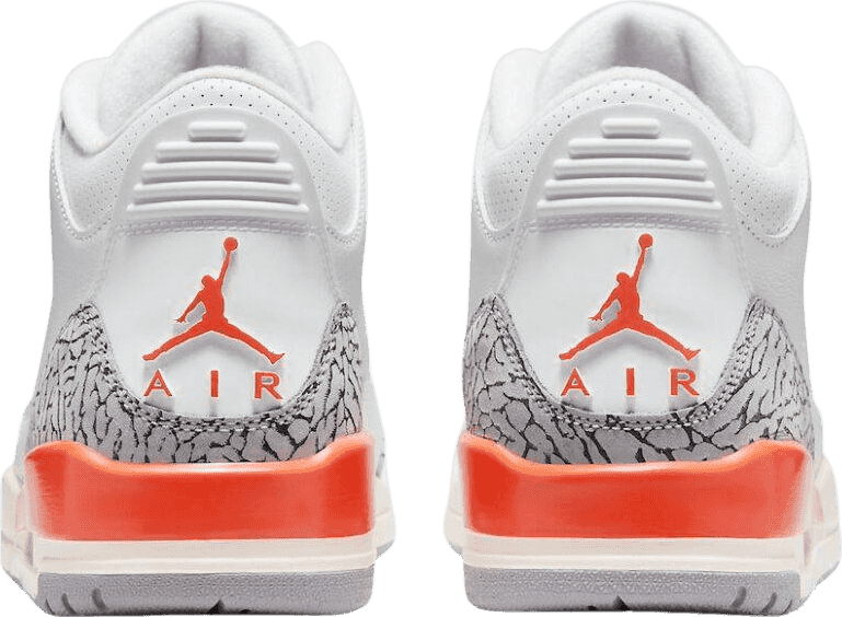 Air Jordan 3 Georgia Peach (W)