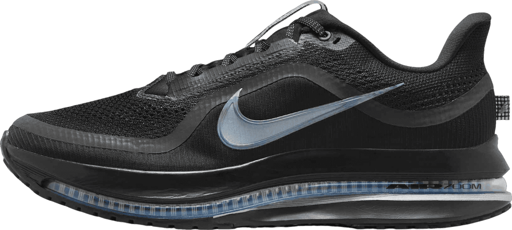 Nike Pegasus Premium Black/Metallic Silver