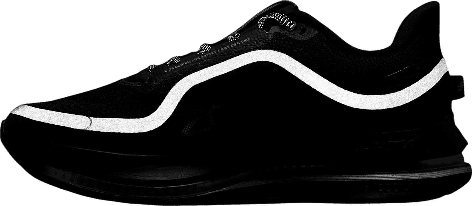 Nike Pegasus Premium Black/Metallic Silver