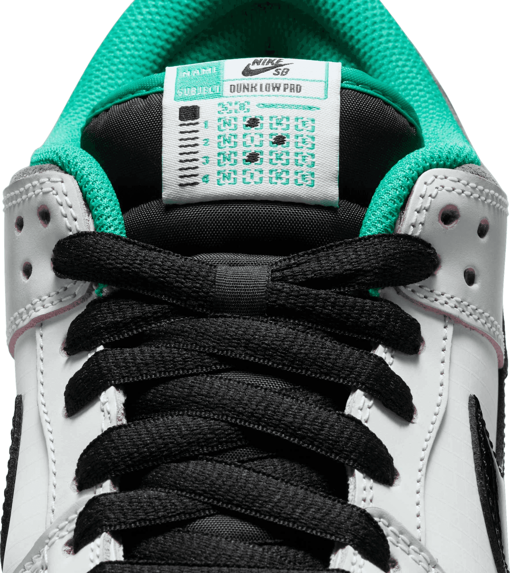 CSEF x Nike SB Dunk Low Pro