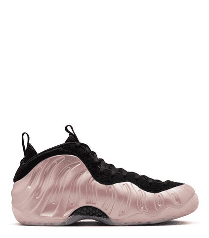 Nike Air Foamposite "DMV"